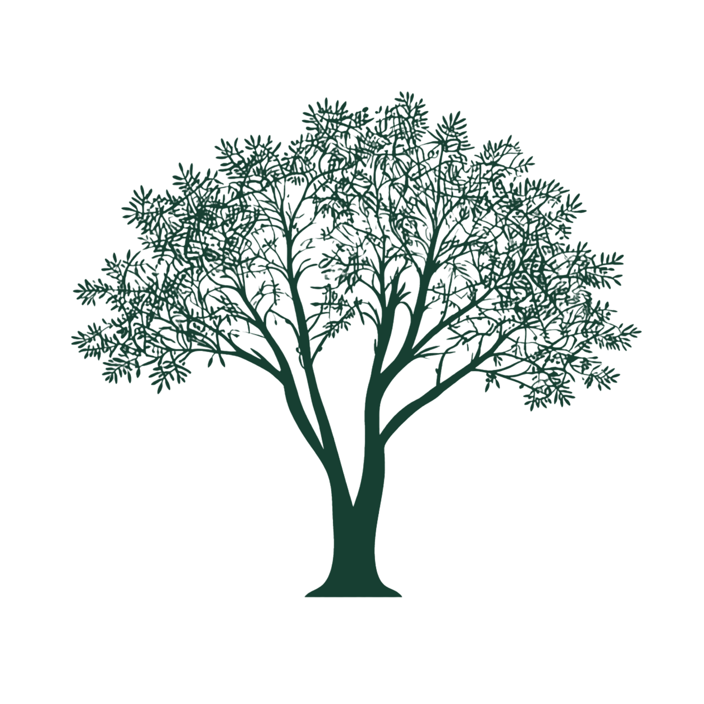 Silueta del árbol de arrayán